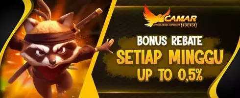 Cashback VIP Mingguan 0.5% promotion image